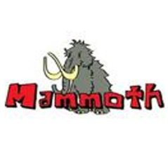 Mammoth Furry Fist Wash Mitt